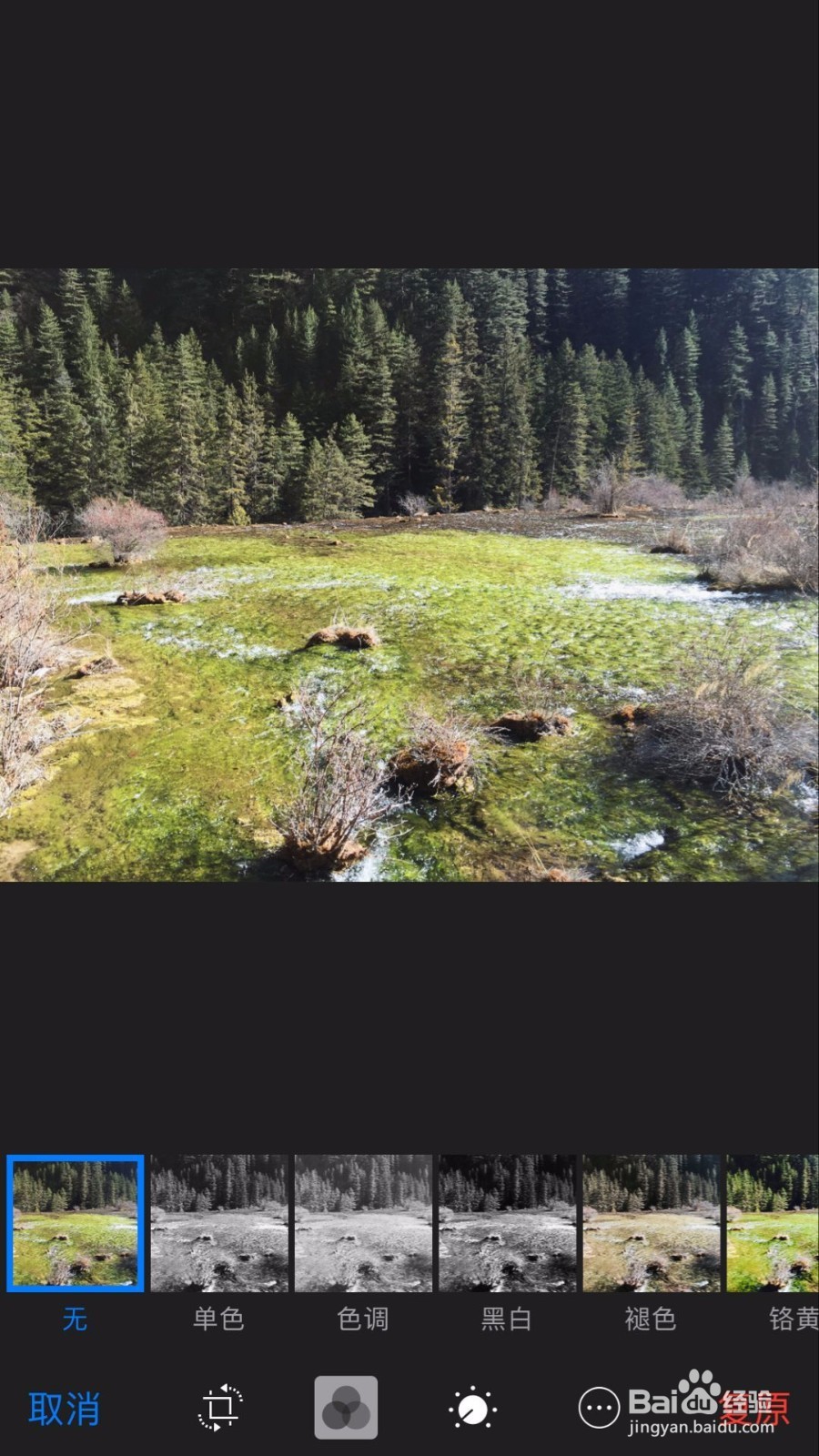 苹果手机把照片变成黑白艺术照的5个方法