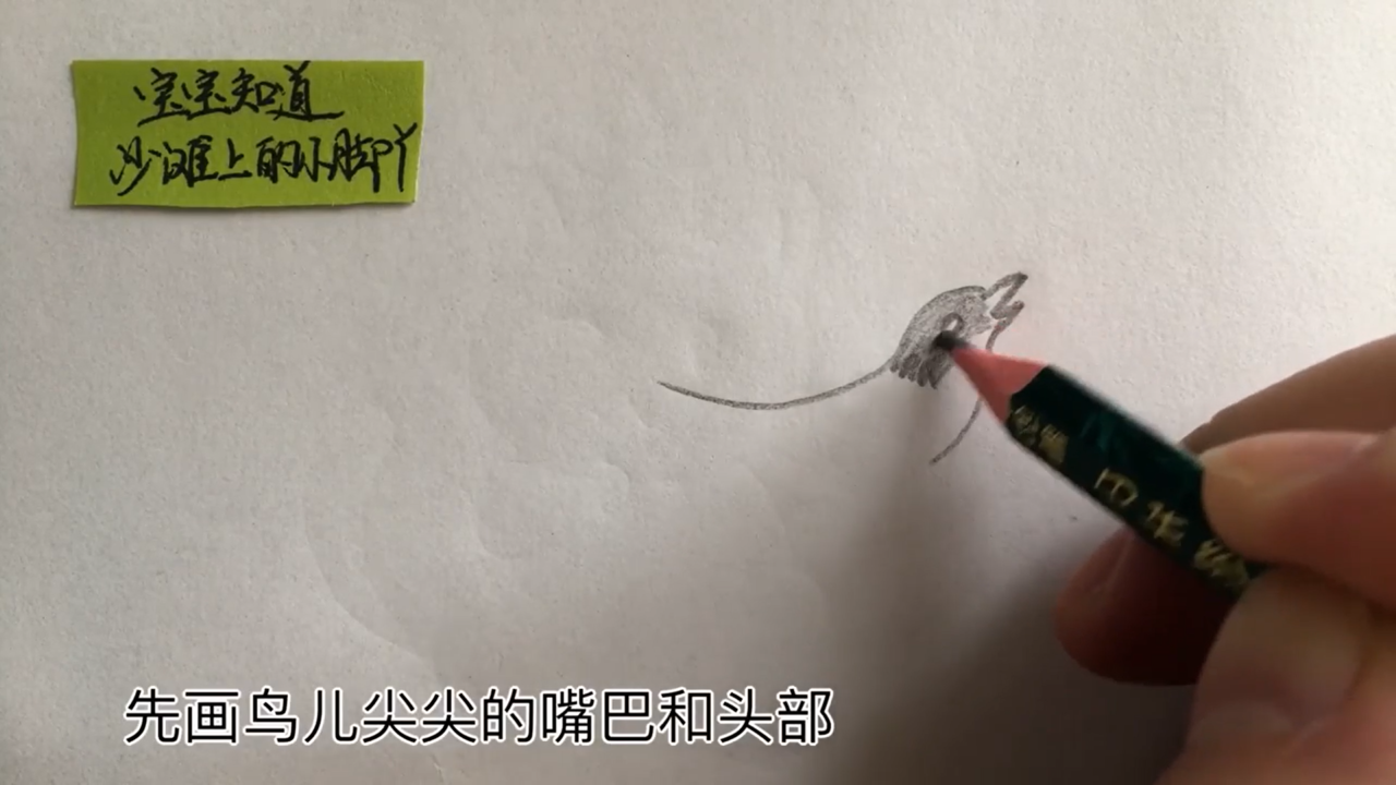 长尾巴鸟简笔画怎么画