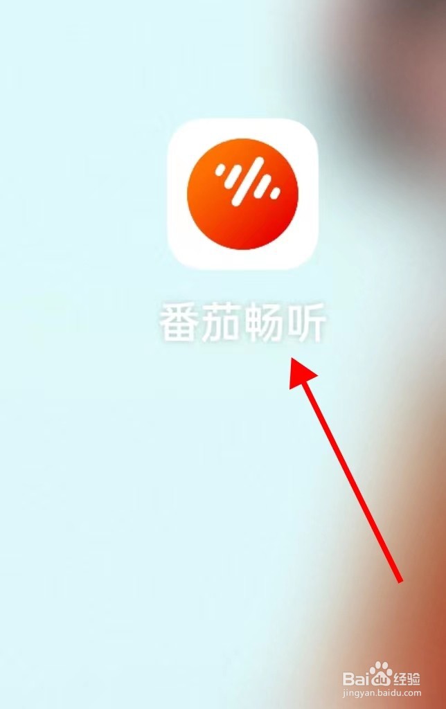 番茄畅听怎么查找我的订单