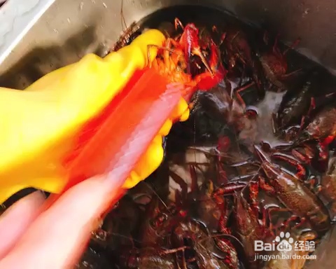 鲜美无比的麻辣小龙虾