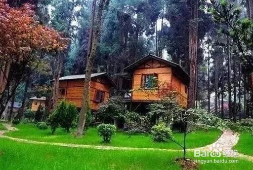 恩施坪坝营旅游攻略