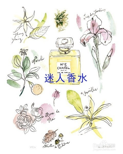 教你怎么成为Party的女主角