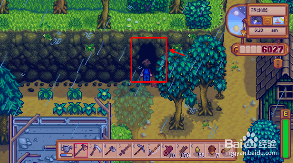 星露谷物语蘑菇和蝙蝠选择 蘑菇和蝙蝠哪个好