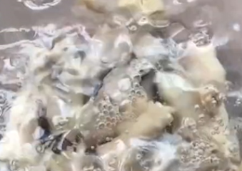 家常凉拌鸡爪的做法