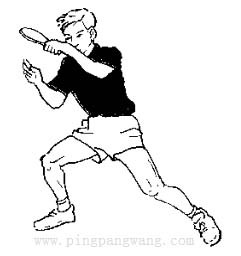 乒乓球业余爱好者步伐学习体会