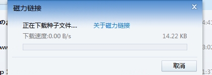 磁力链接Magnet怎么下载