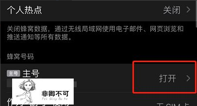 苹果12怎么不显示5g网络