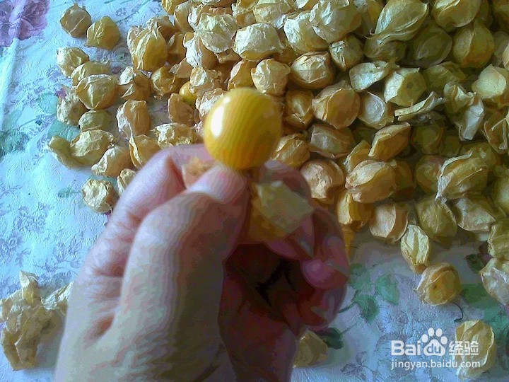 老年人怎样用做游戏的方法和孩子吃姑鸟