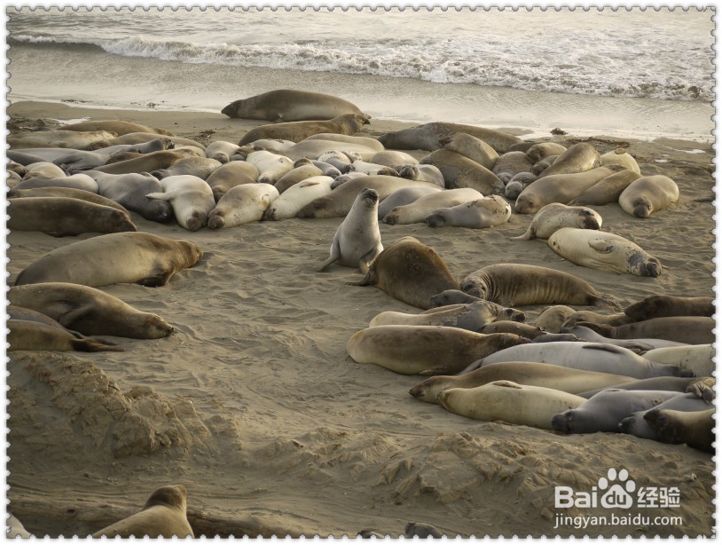 怎样游玩美国一号公路景点?