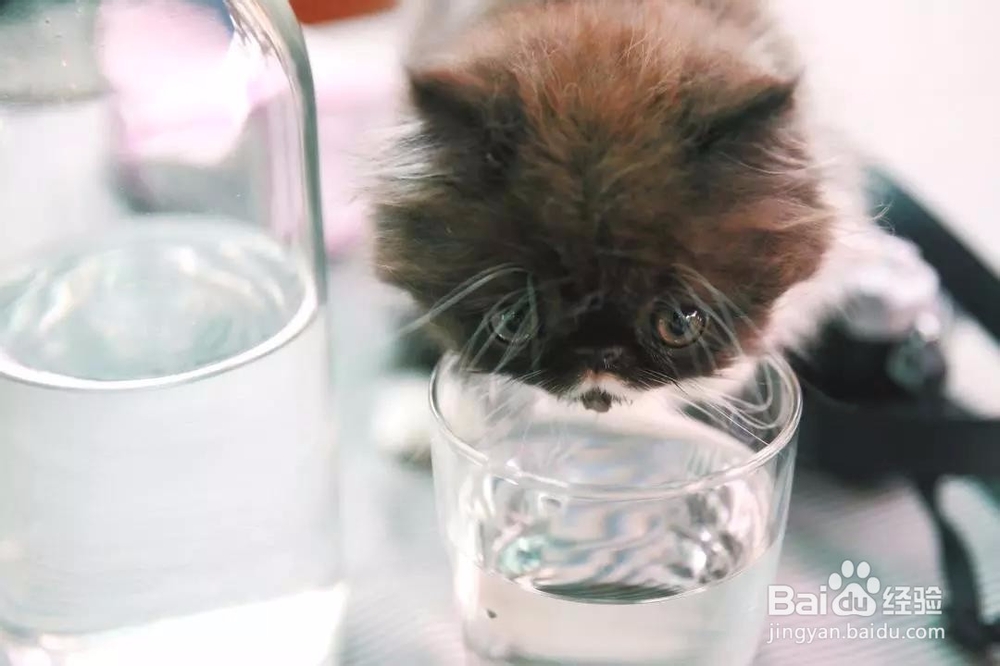 为什么要多喝热水？