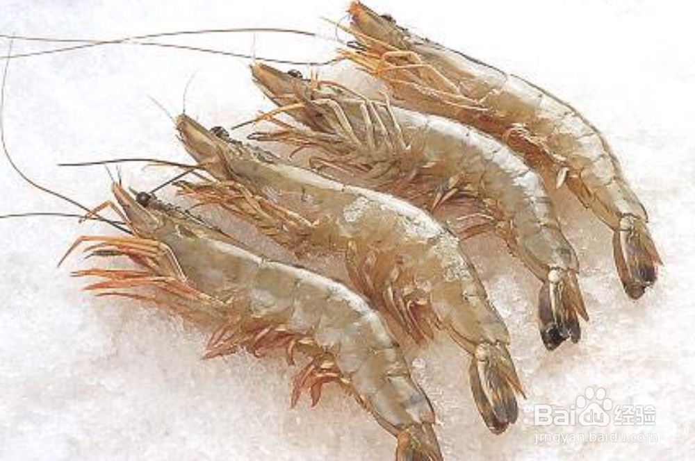 我们吃对虾时的注意事项