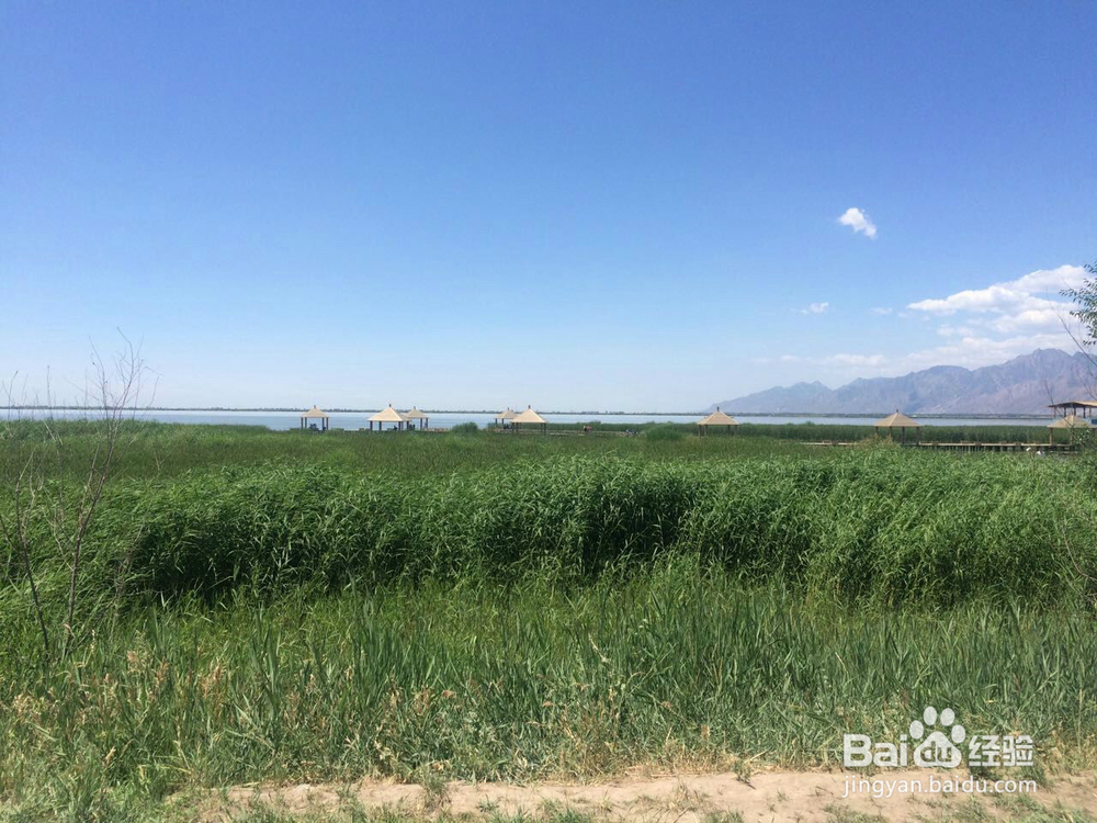 哈素海旅游攻略