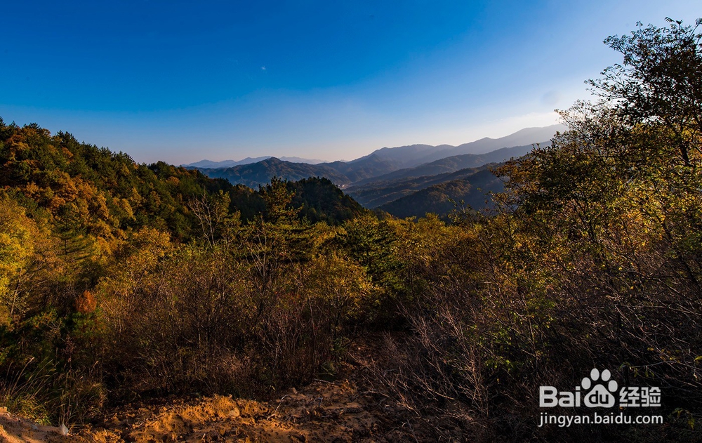 岳西鹞落坪旅游攻略