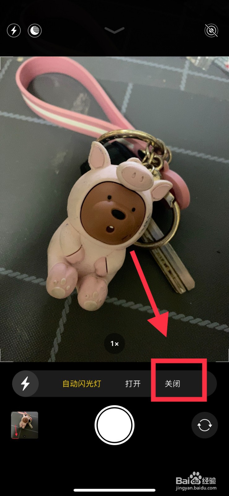 iPhone 11相机闪光灯怎么关