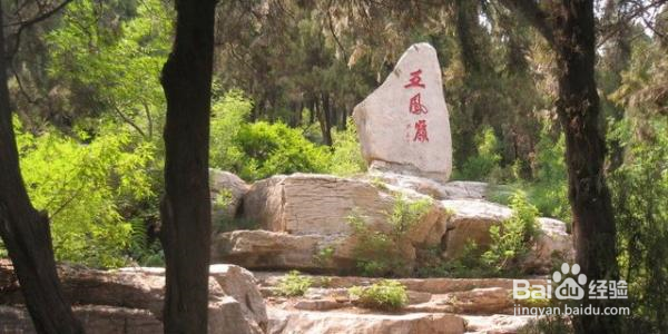 腊山国家森林公园游玩攻略