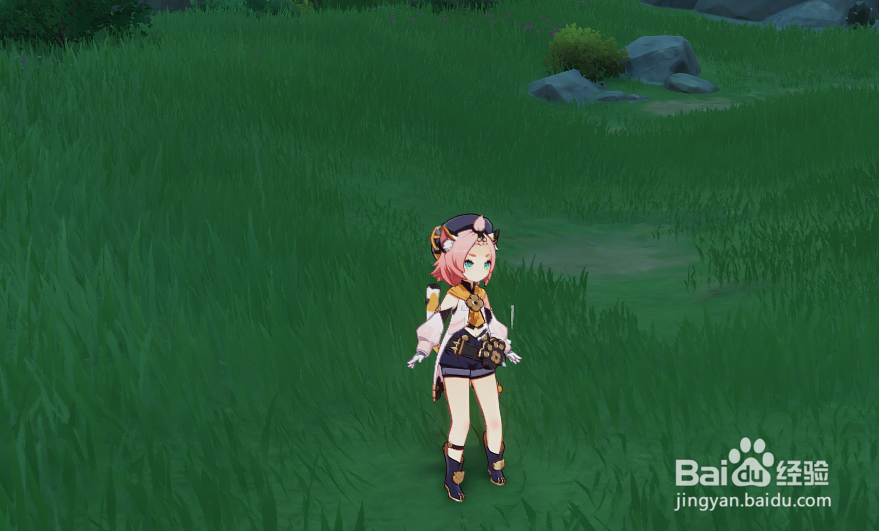 原神忍冬之果的图纸怎么获得