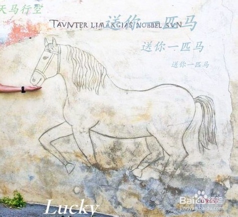 《彳亍世界》：纯净瑞士马年送你一匹马