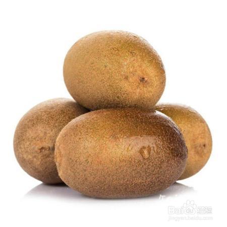 白酒设备之猕猴桃酒