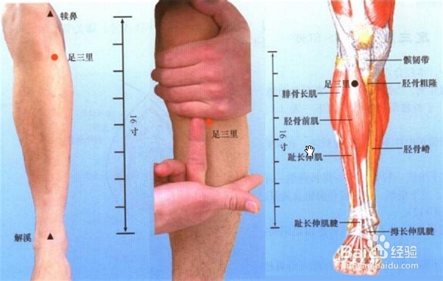 秋日美腿养成时——刮痧按摩拯救大粗腿