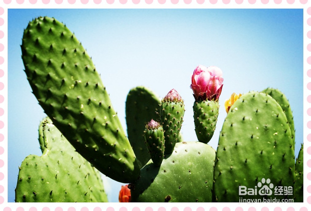 冬天如何防止皲裂