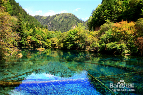 诚品旅游让你知道九寨沟的水是多么的美