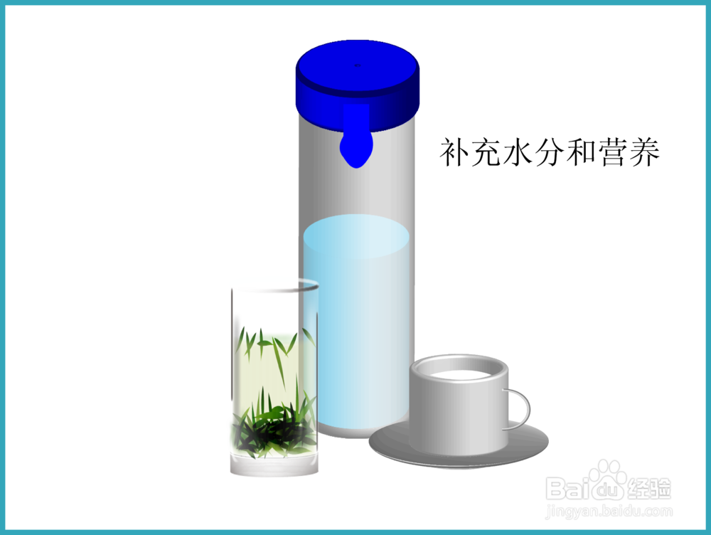 【养生之道】之大便不畅