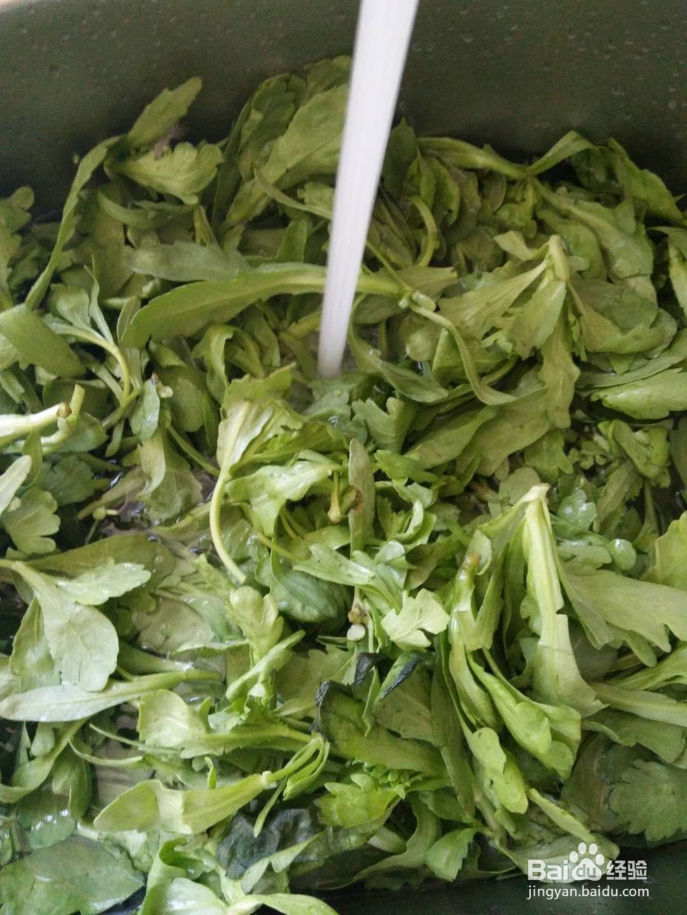 健康饮食——素炒茼蒿