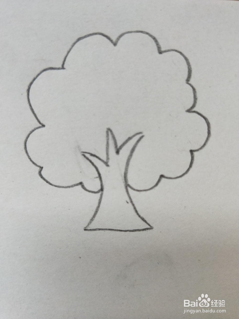 苹果树的简笔画教程