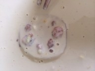 油炸藕夹香又酥