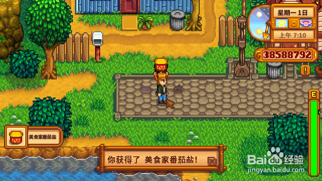 星露谷物语海盗的妻子任务怎么做