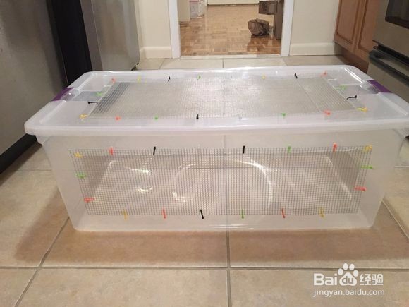 怎样用整理箱DIY制作一个仓鼠笼？