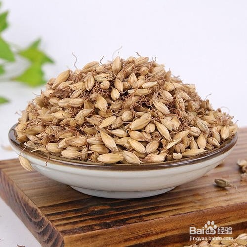 炒麦芽煮水禁忌