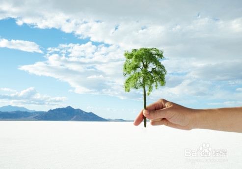 怎样调整自己的心态