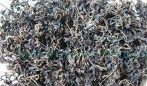 怎么去除角落的异味