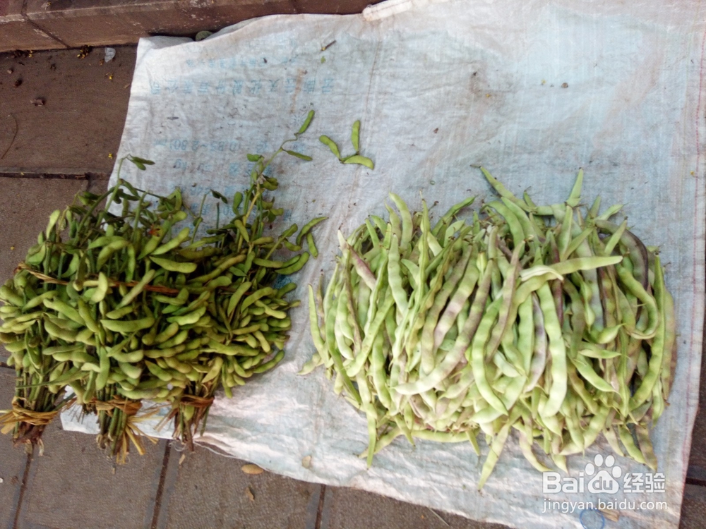 云南美食野生菌鸡枞鲜香味美吃货首选