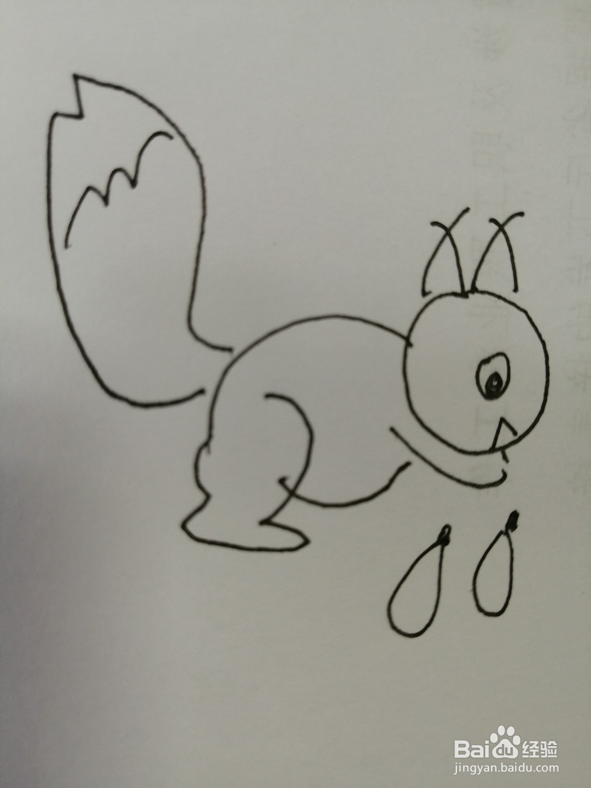 简笔画小松鼠怎么画