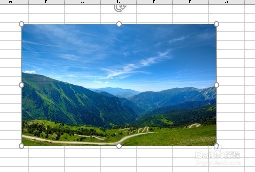 excel2019怎么样压缩表格中的图片使体积变小