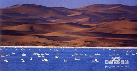 沙坡头旅游怎么最划算