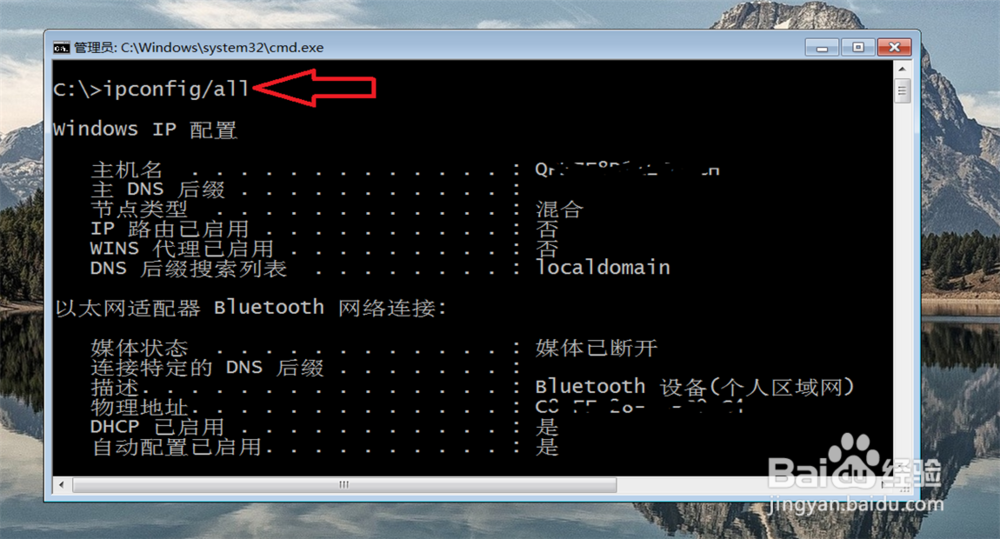 windows 上 ipconfig 命令的使用