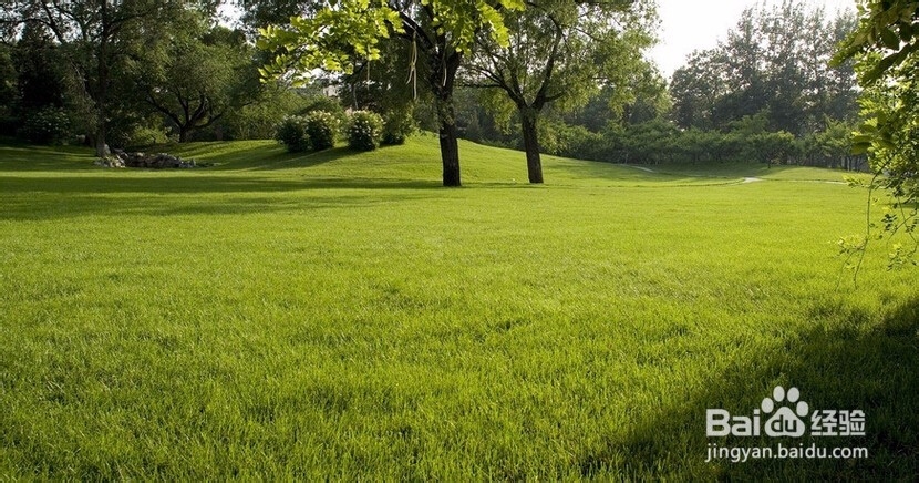 第一次的感觉你记得之开始重视身体。