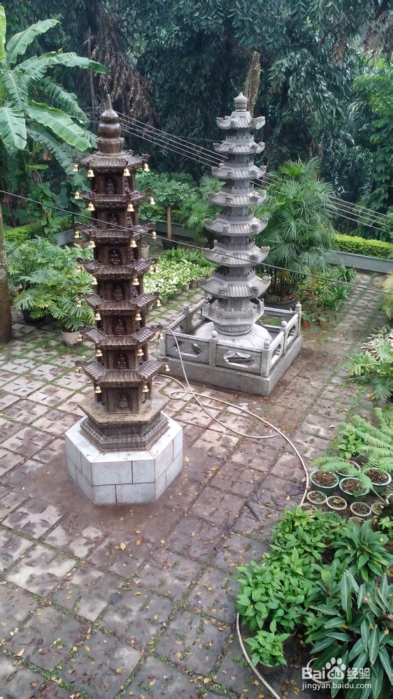 肇庆鼎湖山游记