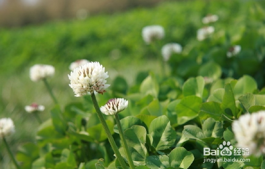 年轻人需做的10件事