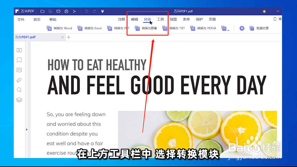 如何将PDF文件转换为PNG格式图像？