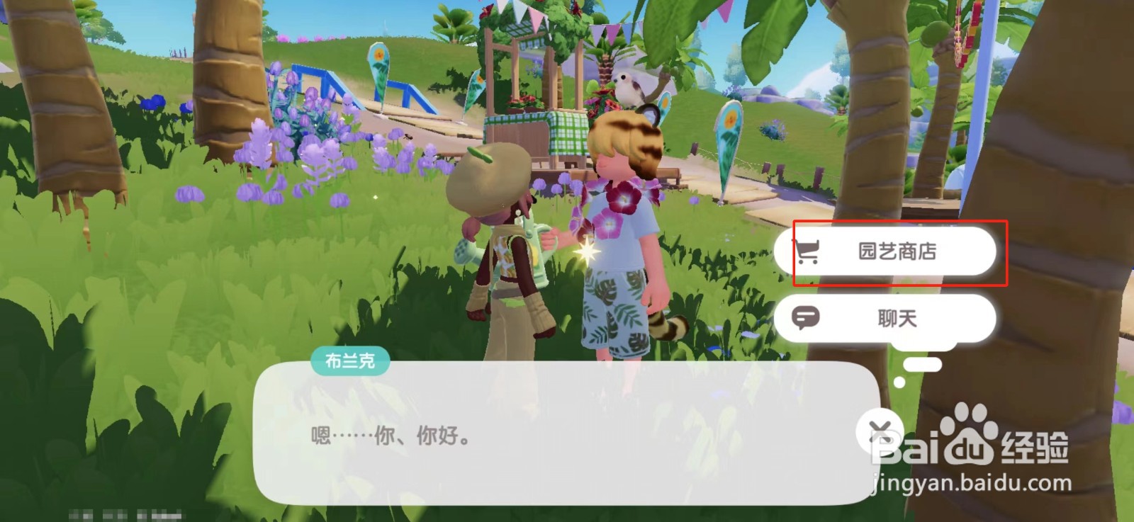 心动小镇红色红色扶桑花种子怎么购买