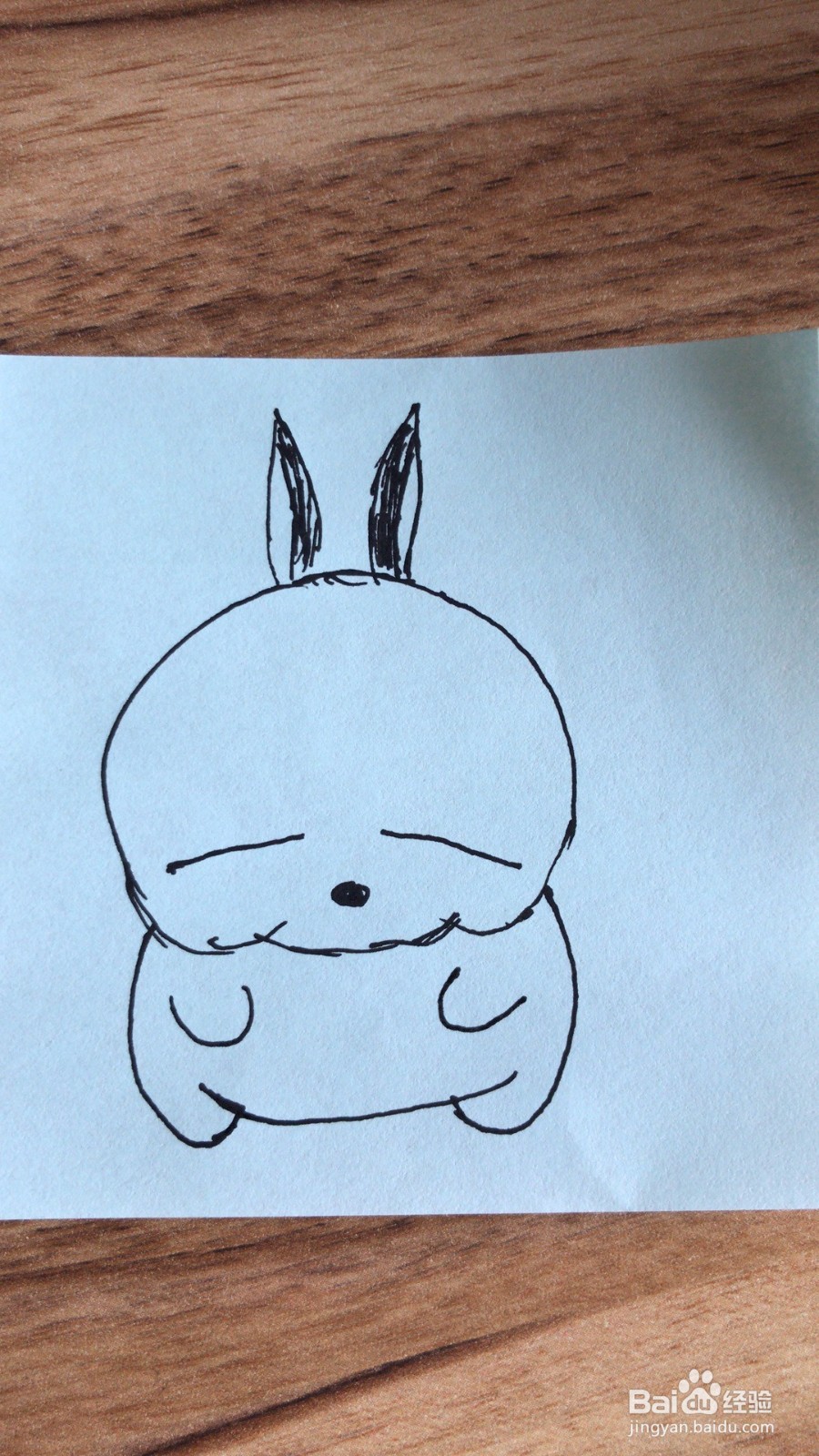 简笔画之流氓兔的画法