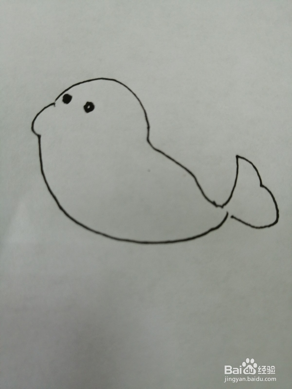 可爱的小海豹怎么画