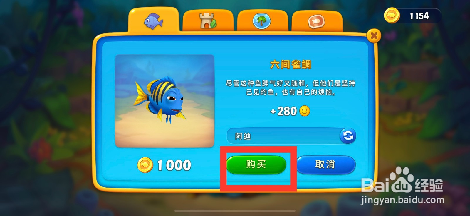 梦幻水族箱如何购买六间雀鲷