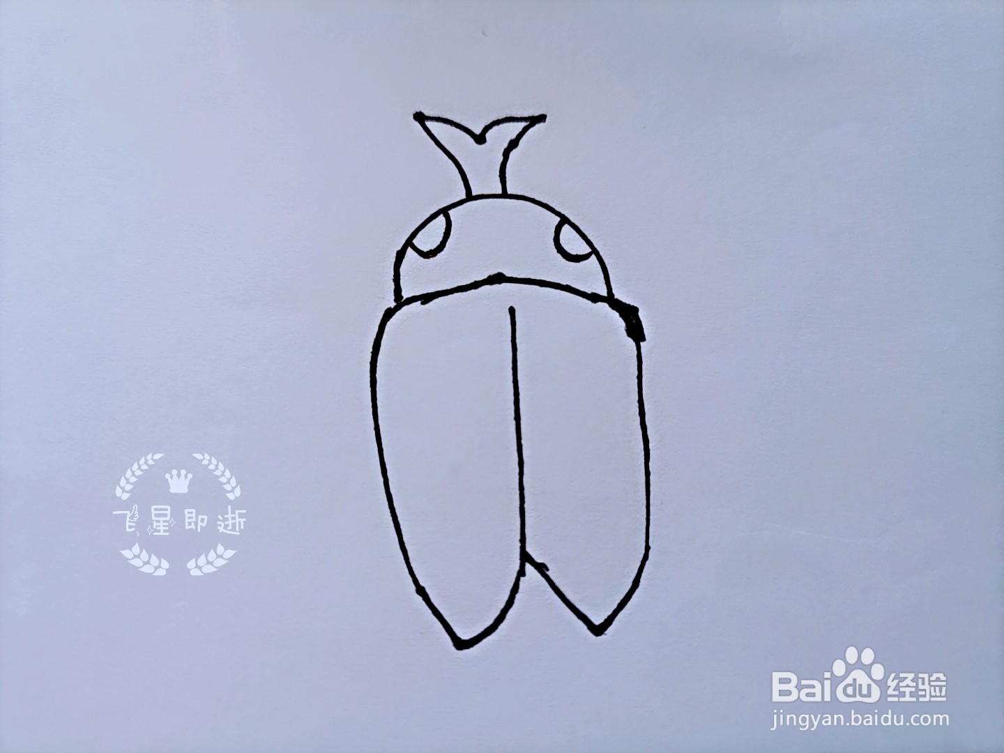 儿童简笔画 如何画一只独角兽