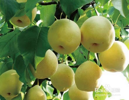 粤港澳“后花园”——明骏九曲