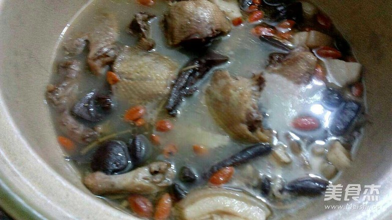 炖鸽子的家常做法